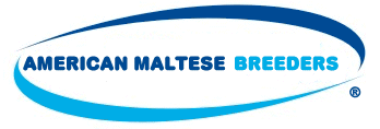 maltese breeders