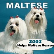 2002 Maltese calendar
