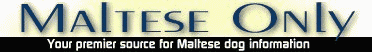 www.MalteseOnly.com