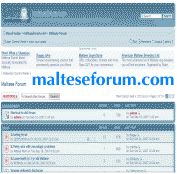 maltese dog forum