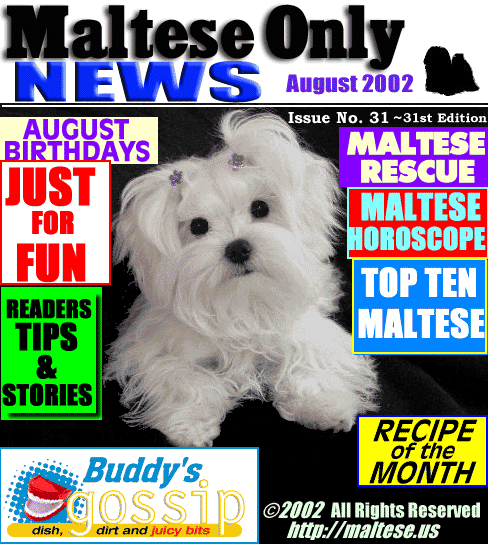 August 2002 Maltese Only News