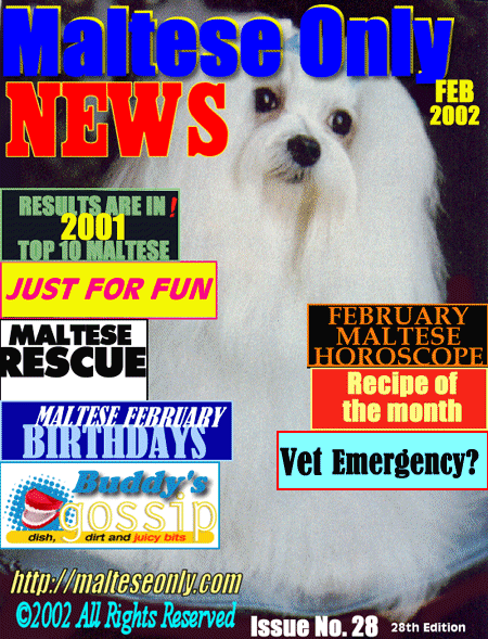 February 2002 - MALTESE ONLY NEWS