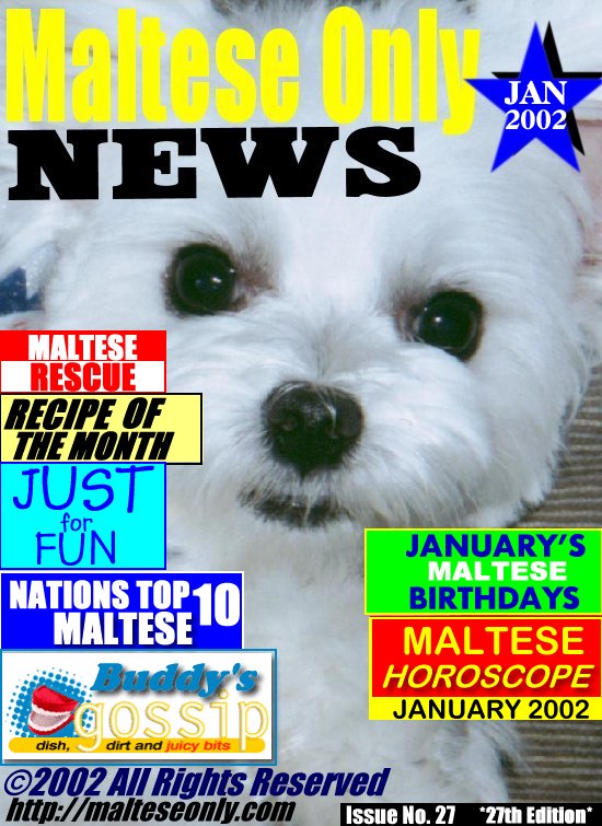 January 2002 - MALTESE ONLY NEWS