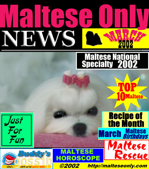 March 2002 Maltese Only News