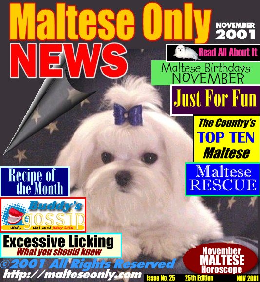 November Maltese Only News
