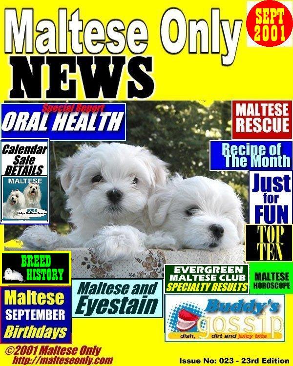 Maltese Only NEWS - September 2001